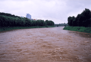 Broad rivers and streams, so that no galley with oars will ride them, no mighty ship will sail (Yangjae-stream)